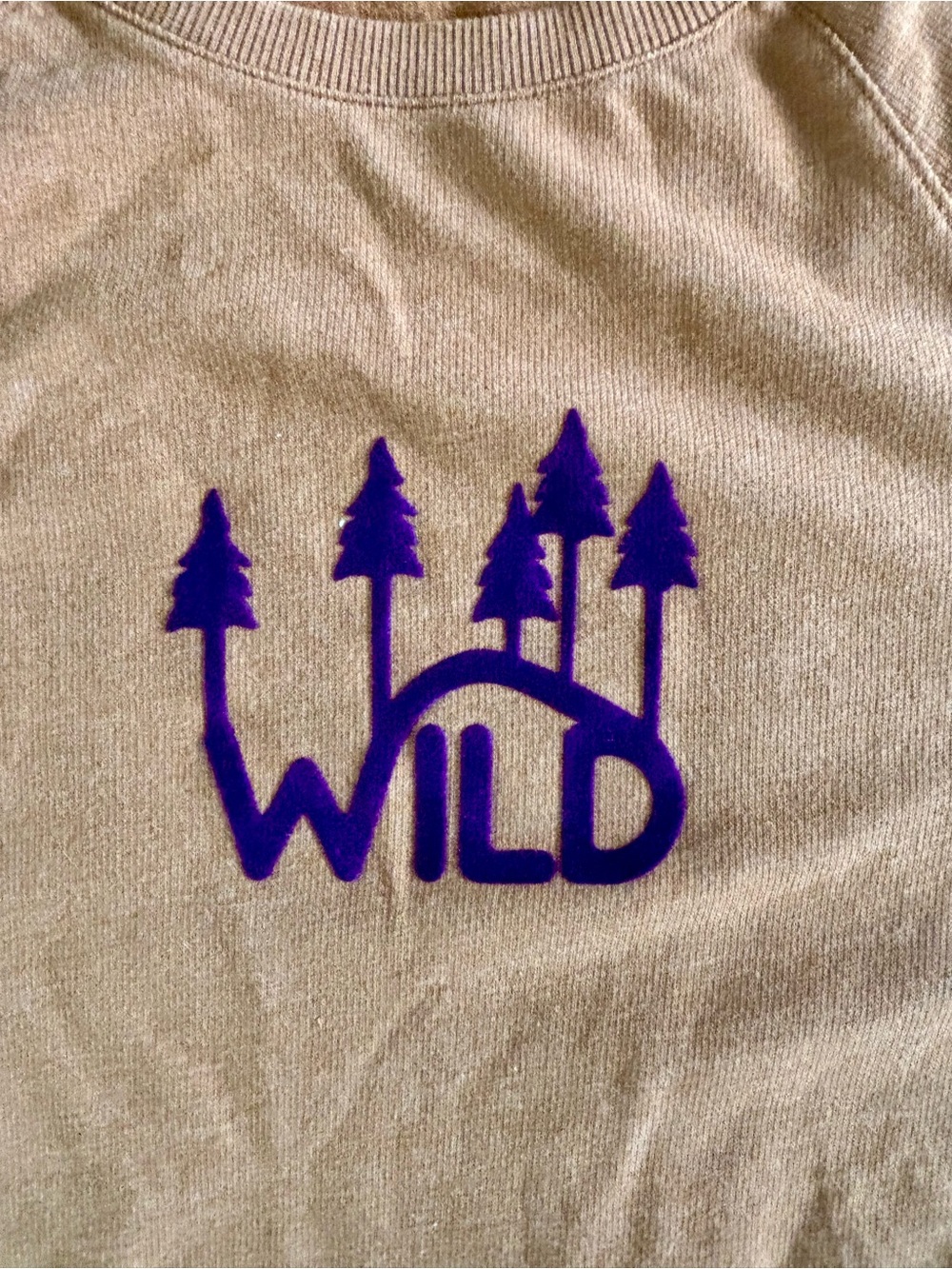 Columbia Brown Rust Wild Crewneck Sweatshirt with Purple Detail